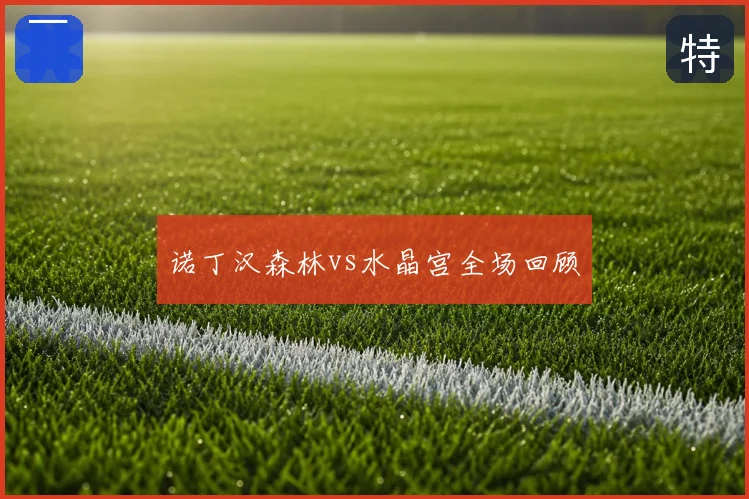 诺丁汉森林vs水晶宫全场回顾